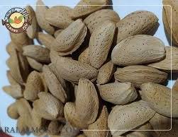 تصویر 5 از بادام ربیع ممتاز + خرید استثنایی